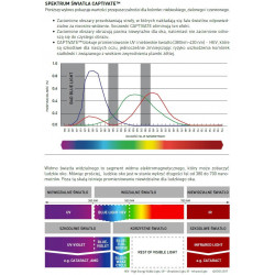 Okulary Wiley X Captivate - KINGPIN Polaraized Green Mirror