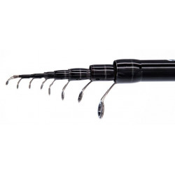 Mikado MFT Bolognese 5