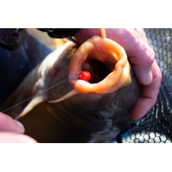 Sonubaits Band'Um Wafters 6mm - Fluoro
