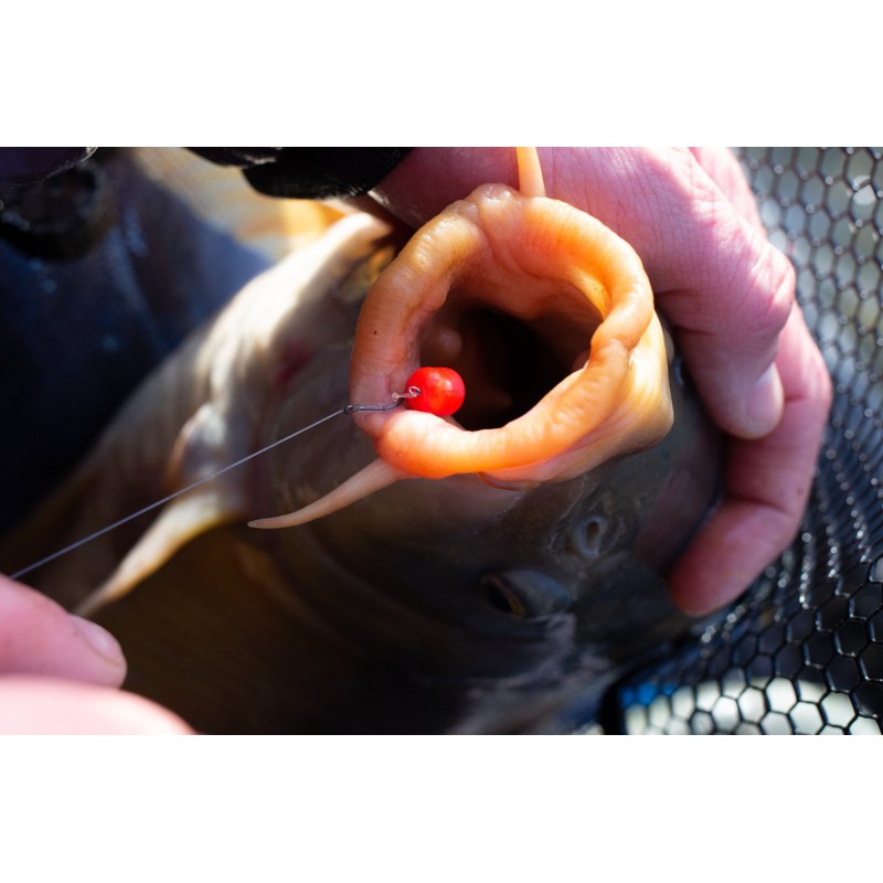 Sonubaits Band'Um Wafters 6mm - Fluoro