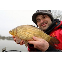 Koszyk Guru In-Line Hybrid Feeder - Large 28g