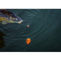 Pływak Korum Surface Bomb - FLUORO // Medium