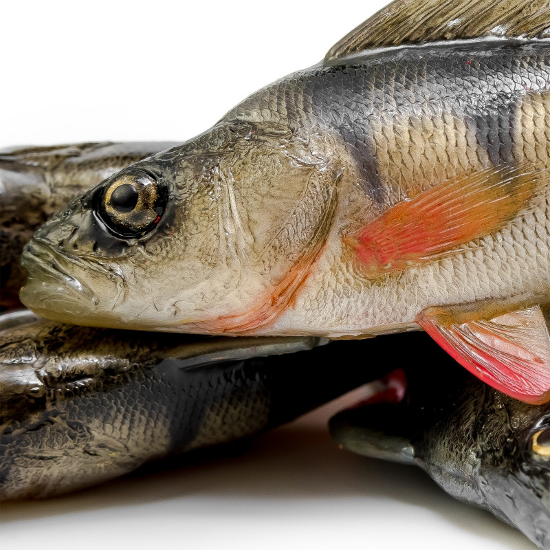 Angry Perch 19,5cm - NOR