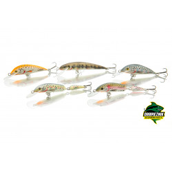 Pracownia Roztocze Wobler Pstrągowy