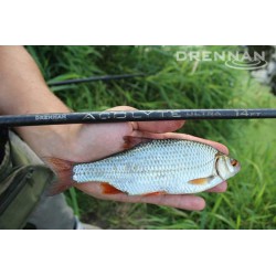 Drennan Acolyte Ultra 14ft