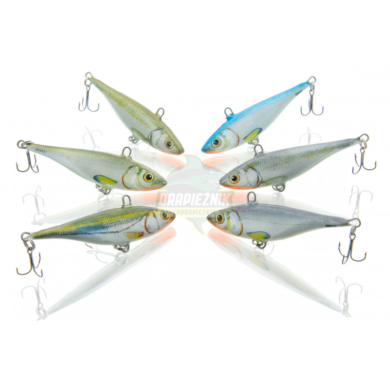 Woblery Dorado Courier Cykada 7.0cm