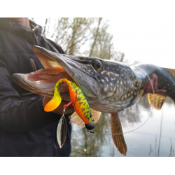 Wkrętki z blaszką Savage Gear Screwin Spin Teaser - roz. M