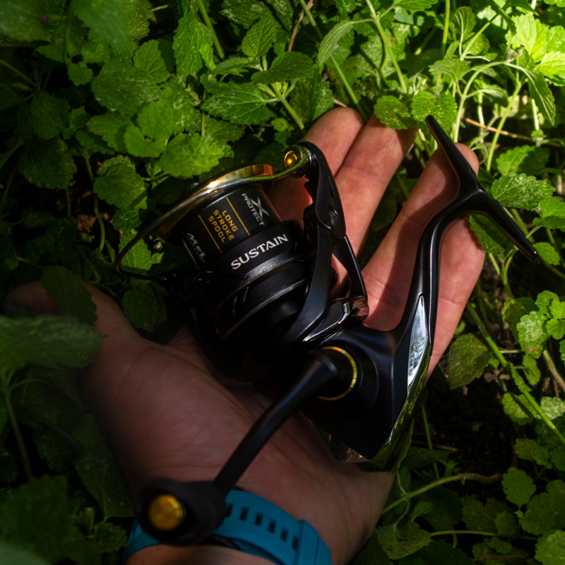 Kołowrotek Shimano Sustain FJ