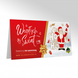Świąteczny Bon Upominkowy II - WERSJA PAPIEROWA Z PUDEŁKIEM