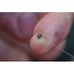 Śruciny Guru Micro Cubes Refill