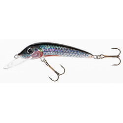 Wobler Jaxon Holo Select Ferox 6,0cm - P