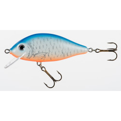 Wobler Jaxon Holo Select Karaś 11,0cm - NL