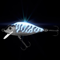 Wobler Jaxon Holo Select Karaś UV 8,0cm - NL