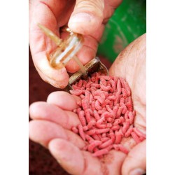 Koszyk zanętowy Drennan Bolt Rig Feeders