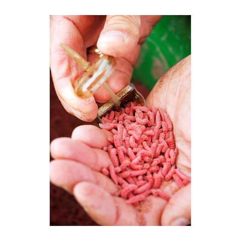 Koszyk zanętowy Drennan Bolt Rig Feeders