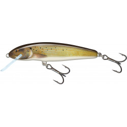 Wobler Salmo Minnow 6,0cm Floating - Grayling