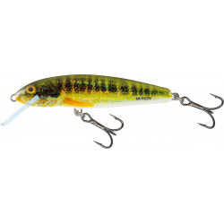 Wobler Salmo Minnow 6,0cm Floating - Holo Real Minnow