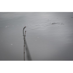 Wędka Matrix Ethos XR-S Feeder