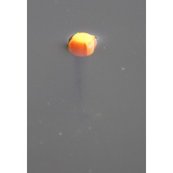 Spławik Drennan Shorty Pellet Waggler - 7g