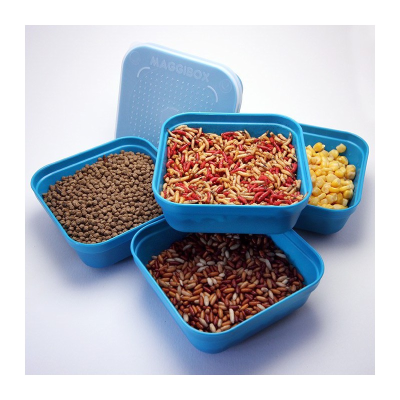 Pudełko Drennan Maggibox Aqua - 3.3 Pint // 1.87L