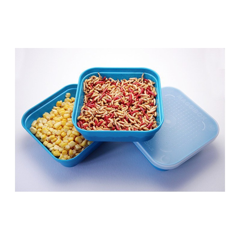 Pudełko Drennan Maggibox Aqua - 3.3 Pint // 1.87L