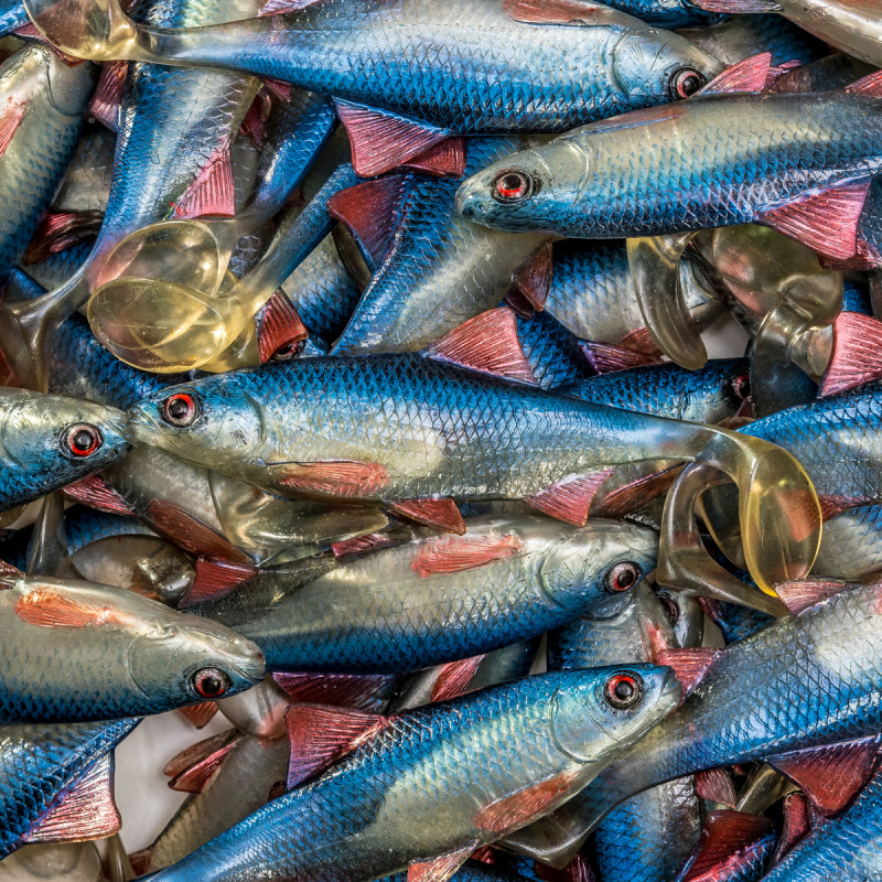 Guma Angry Roach 12.5cm - BSW