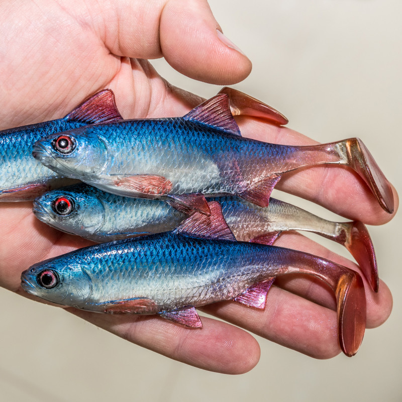 Guma Angry Roach 12.5cm - BSWR