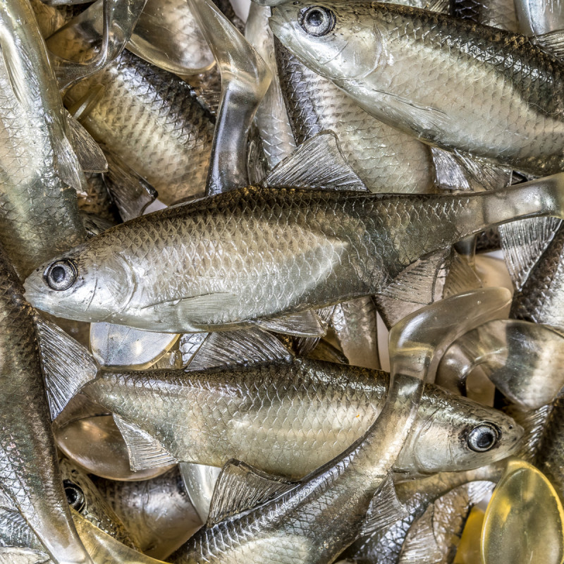 Guma Angry Roach 12.5cm - TSW