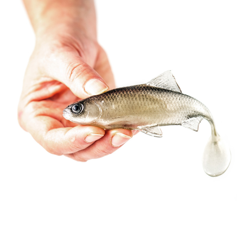 Guma Angry Roach 12.5cm - TSW