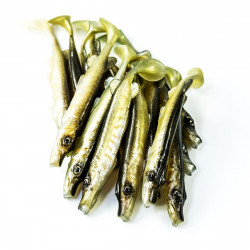 Guma Angry Pike 10cm - NTA