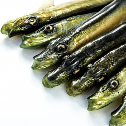 Guma Angry Pike 19cm - NTA