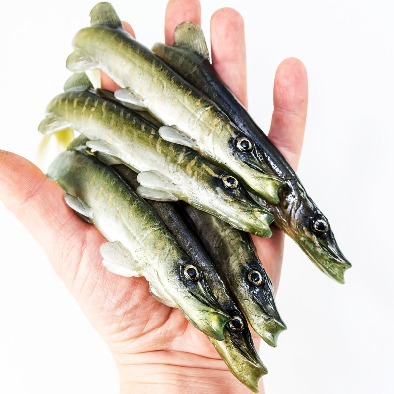 Guma Angry Pike 19cm - NTA