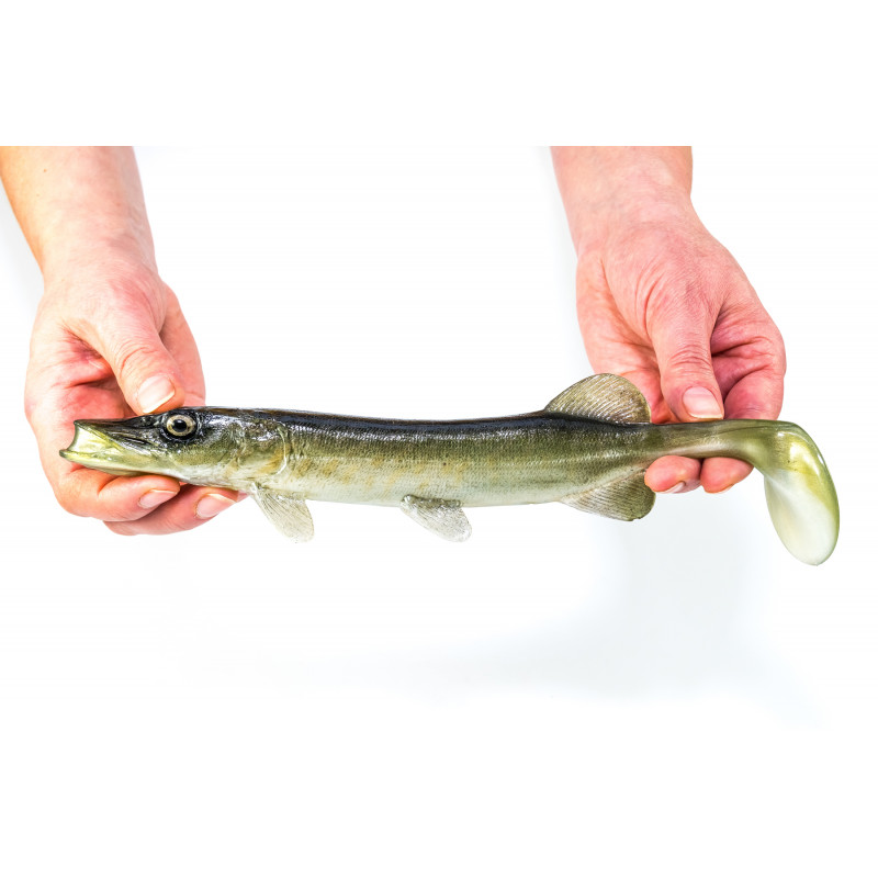 Guma Angry Pike 25cm - NTA