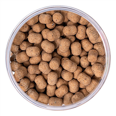 Wafters 6mm Pellet