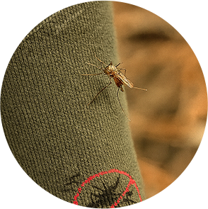 Skarpety antyinsektowe