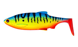 Westin Ricky The Roach Shadtail 10 cm Angry Dot