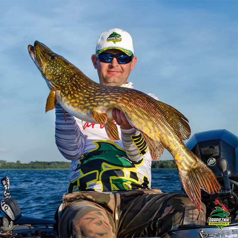 Ricky The Roach Zdjęcie ryby