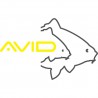 AVID