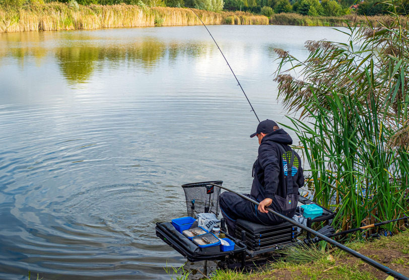 Kiedy opadają liście #3