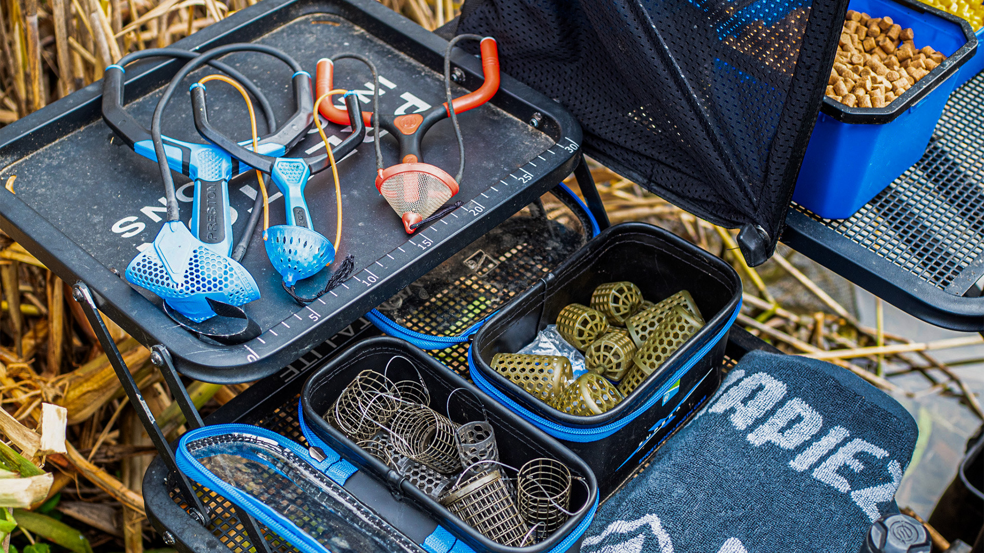 Kiedy opadają liście #4