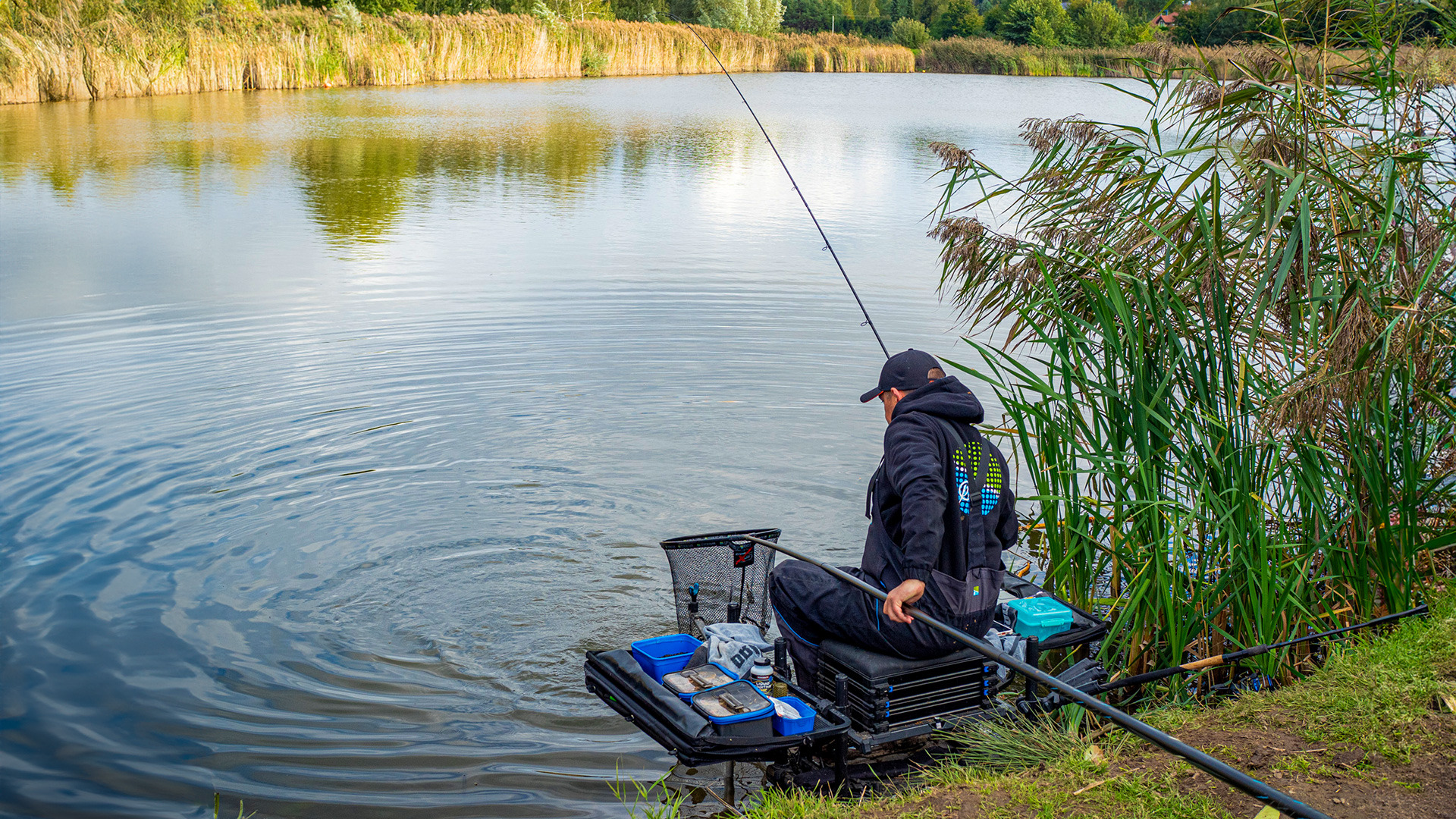 Kiedy opadają liście #3